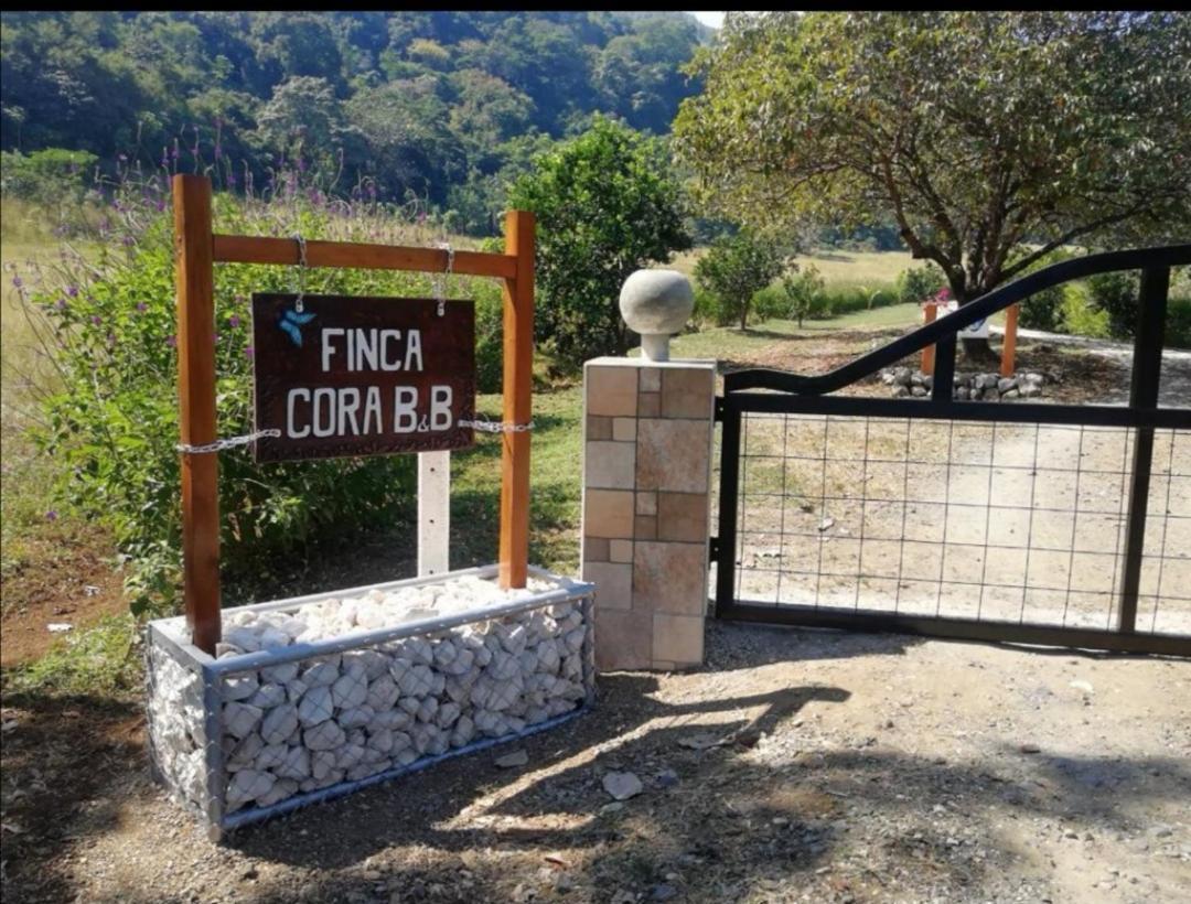 Casa Cora Bed And Breakfast Carmona Luaran gambar