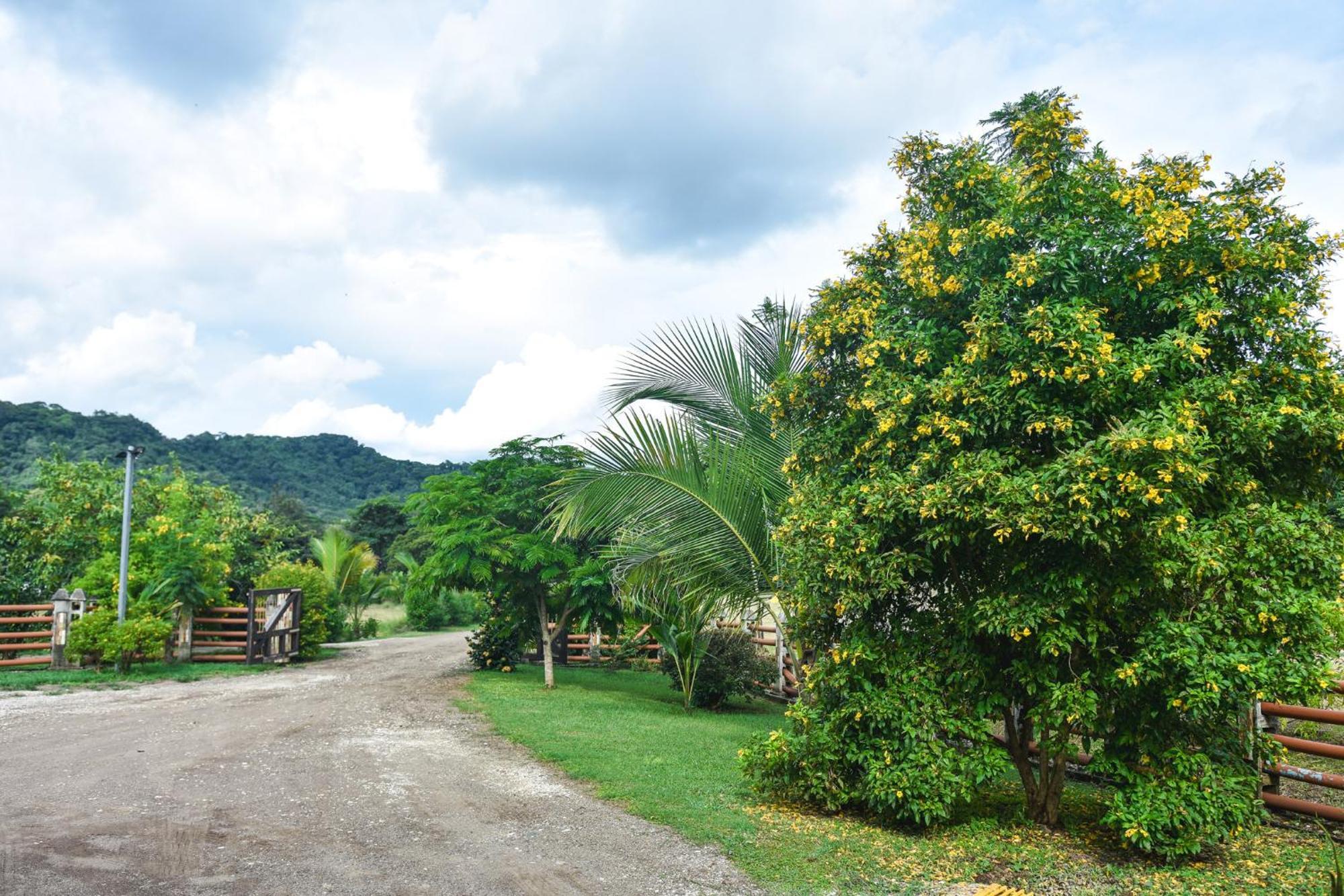 Casa Cora Bed And Breakfast Carmona Luaran gambar