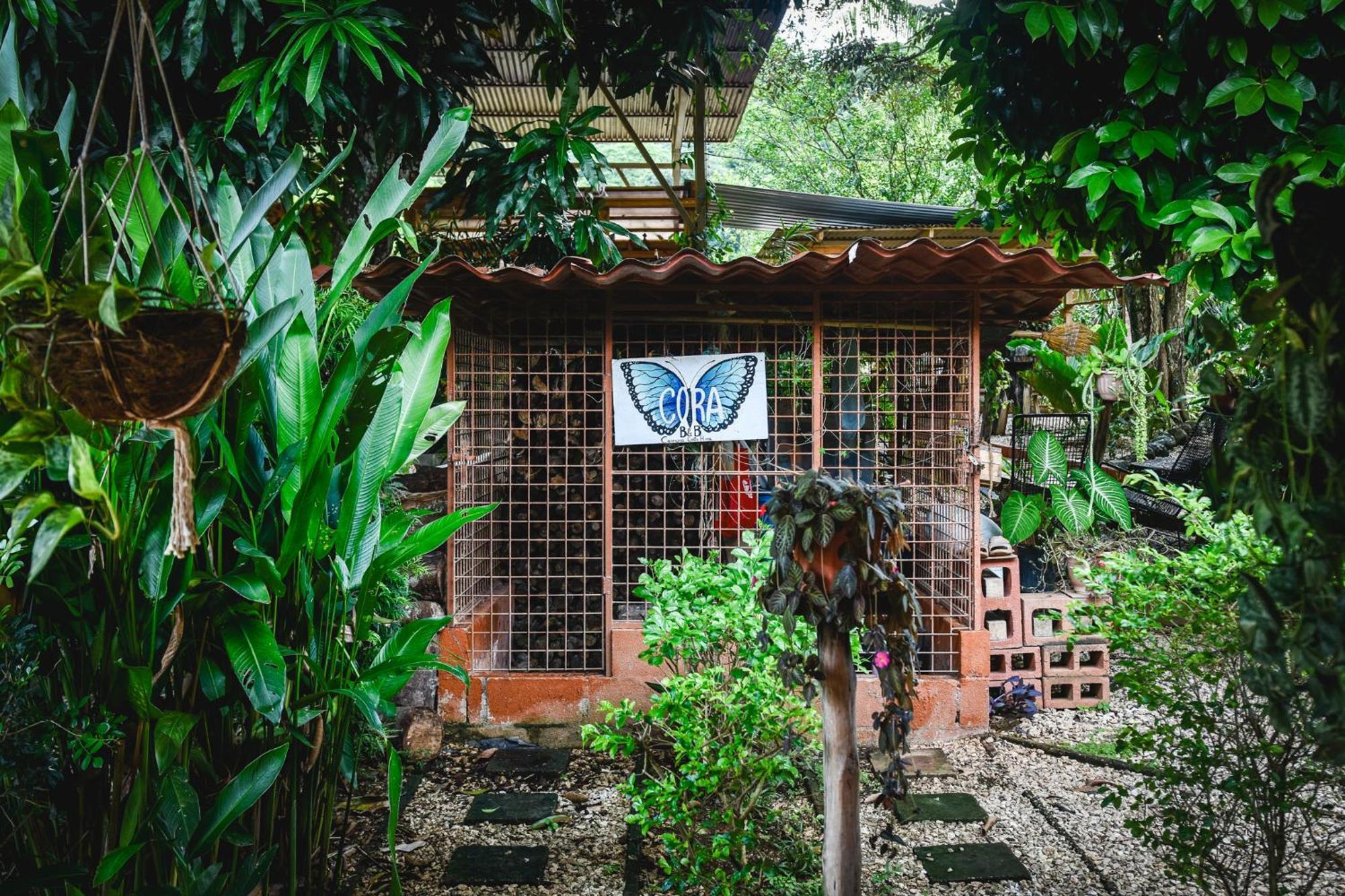 Casa Cora Bed And Breakfast Carmona Luaran gambar