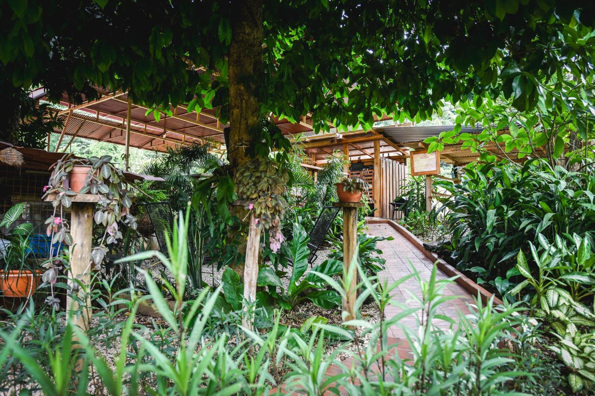 Casa Cora Bed And Breakfast Carmona Luaran gambar